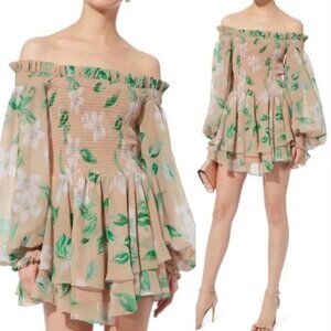 Caroline Constas Floral Print Mini Dress Size: XS fit USA small as well